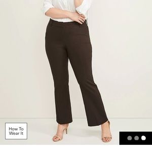 The Allie Stretch pant size 22r